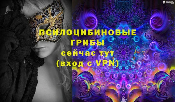 хмурый Карпинск